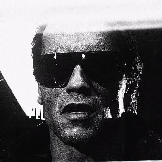 Arnold Schwarzenegger Terminator Quotes
