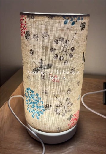 Dragonfly Mini Lamp LED review: small lamp ideas and use