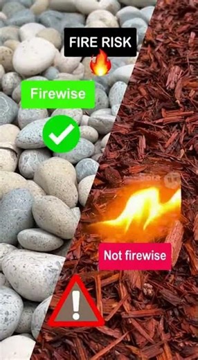 ROCK or WOOD MULCH: Which is BETTER!