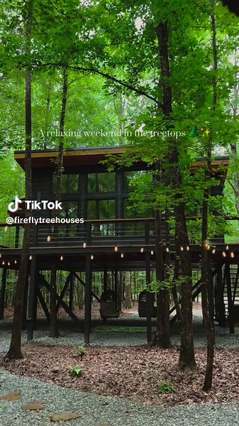Nature Retreat: Treetop Escape with Firefly Treehouses