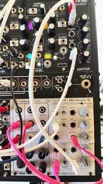 Doepfer spring reverb + BBD + Serge VCFQ feedback loop #krell #doepfer #eurorack #modularsynth