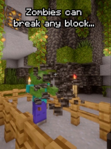 Minecraft Myth Busting: The Last One?