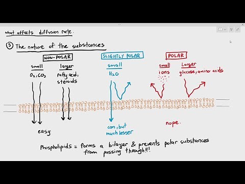 4-8 Factors Affecting Diffusion Rate: Type of Particles (Cambridge AS & A Level Biology, 9700)