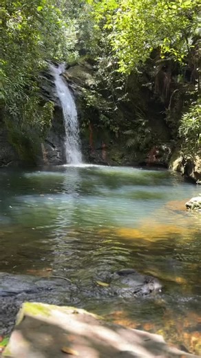🌿 Tiger Fern Double Waterfall at Cockscomb Basin Wildlife Sanctuary, Belize One of the most beautiful and challenging hikes — but totally worth it! Come hike with us and experience Belize’s wild beauty up close. 🇧🇿💚 #BucketListToursBelize #CockscombBasin #TigerFernWaterfall #BelizeAdventures #ExploreBelize #VisitBelize #WaterfallHike #HikingBelize #NatureLovers #HopkinsBelize #BelizeBucketList | Bucket List Tours & Transfers Belize