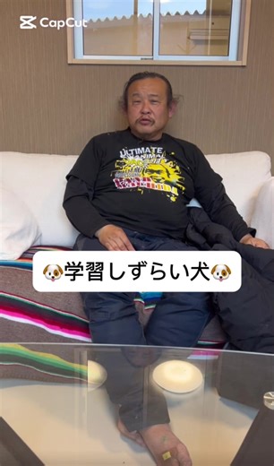 大型犬の学習しずらい犬TOP3