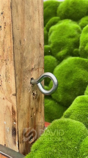 A carpenter taught me #Carpentry #Woodworking #DIYSkills