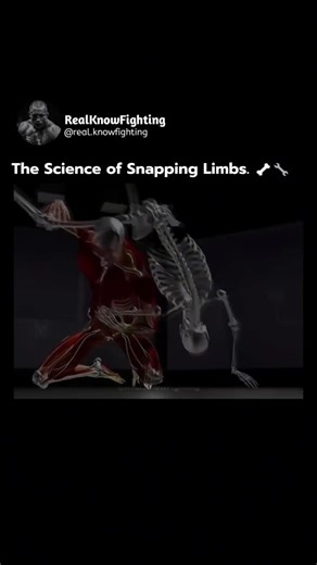 @real.knowfighting | Jiu-Jitsu isn't about being stronger; it’s about being smarter with physics. This breakdown visualizes the terrifying efficiency of joint... | Instagram