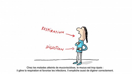 1.1K views · 31 reactions | À l'occasion de la Journée nationale de...