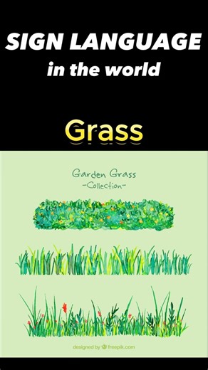 [World Sign Languages] How to Sign 'Grass' in 5 Different Countries #signlanguage #Shorts #Grass