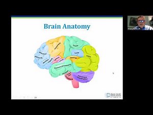 The Impact of Brain Injury