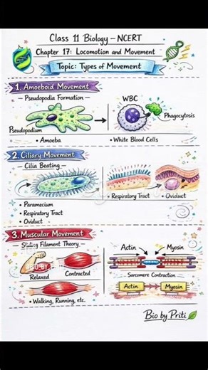 Class 11 Biology: Types of Movement made simple. #ncert #pw #viral #biology #ncert #vedantu #yt