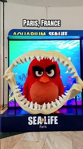 Red went international... for SEA LIFE! 🌏🐠