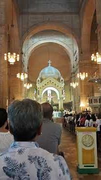 Santo | Órgano Walcker Catedral de Medellín 2025