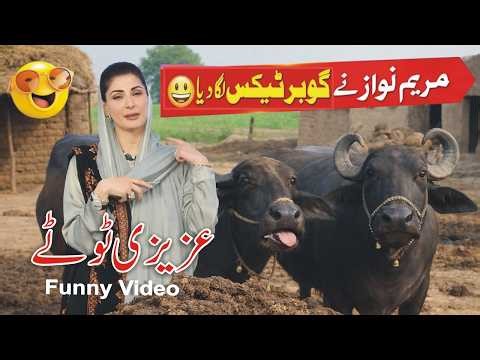 CM Maryam Nawaz Gobar Tax Funny Video | Azizi Totay Funny Punjabi Dubbing #gobartex #funnyvideo