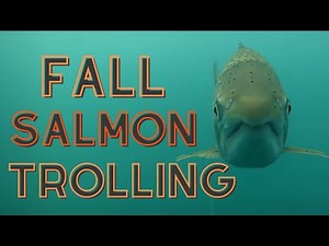 Fall Salmon Trolling - Lake Superior Pre Spawn salmon fishing | Underwater footage