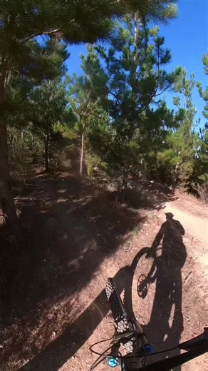 Santa Cruz bullit Vs creswick G1 technical run#mtb #creswick #santacruz #dh #enduromtb