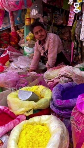 The Coolest Colored Powder Pet Photography