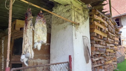 Static view of rabbit skins hanging from a wooden pole to dry, traditional rural processing on a farmhouse exterior, stacked firewood and rustic walls showing authentic countryside self sufficiency.