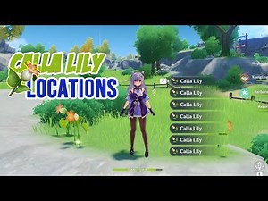 CALLA LILY LOCATION - Genshin Impact