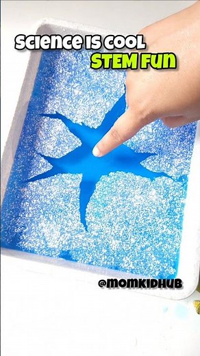 Easy STEM Activity At Home/ Fun Science Activity #stemforkids #stem #scienceathome #kidsactivities