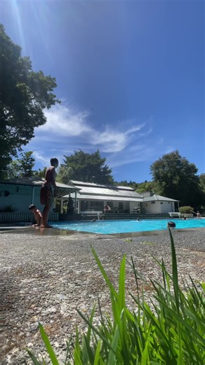Exploring Fatty Manus: The Fattest Manu in NZ