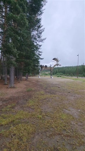 1M views · 28K reactions | World biggest moose statue NorwayVsCanada | Mayan | Facebook