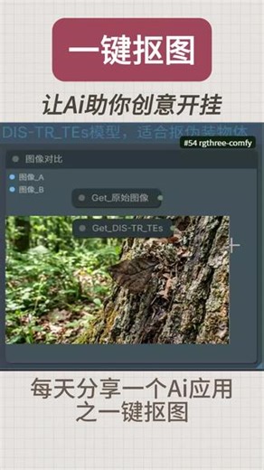 AI一键抠图 一键抠图神器来了！操作简单还完全免费。这款 BiRefNet 插件实力超强，我已经把 7 个模型效果全部整理拓展好了。直接下载这套工作流整合包就能用。#抠图教学 #云扉 #comfyui教程 #一键抠图 #ai抠图