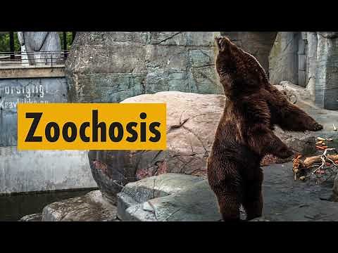 Zoochosis