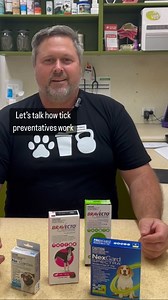 Paralysis ticks are everywhere! A “quick” explainer of why you could still find ticks on a pet that is on tick prevention and it isn’t necessarily bad. The systemic tick preventions need the tick to attach to drink the blood with the insecticide in it. The preventative insecticide kills the tick within 24hrs of usually less, which is 1 -2 days before tick paralysis can start to occur. We still recommend removing a tick if you find one on your pet and usually on close inspection the tick is slow,
