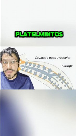 Platelmintos: Conheça as Tênias e os Esquistossomos! 🪱 Biologia #Teníase #Cisticercose #vermes