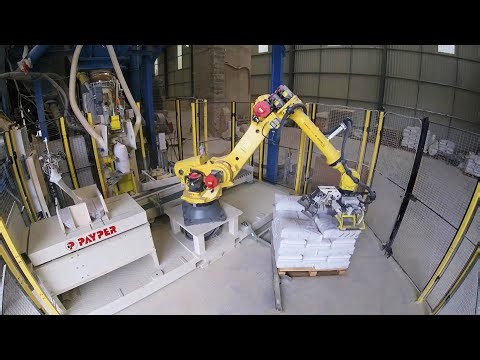 One Robot for Automatic Valve Bag Filling and Stacking