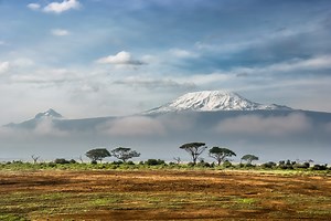 Why this cancer researcher (and survivor) is climbing Kilimanjaro to raise money to study cancer