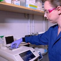 Single-Cell Proteomics Analysis using SCoPE2 - JoVE Journal