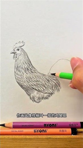 One-Minute Masterclass: Effortless Rooster Sketching DrawingTutorial ArtClass