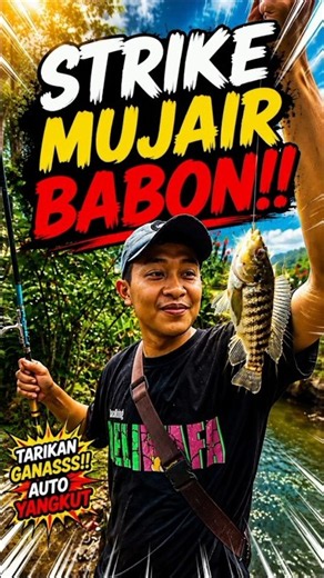 Strike Mujair Babon Mantap!!! #sabawana #sabawanaofficial