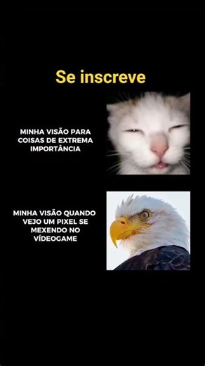 vocês também é assim?