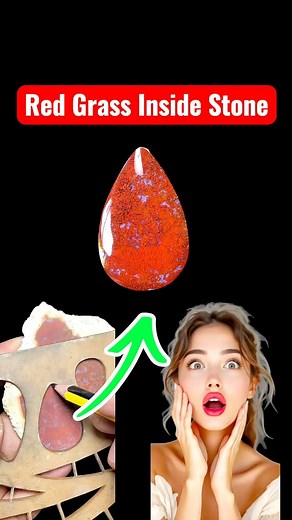 A simple red plume agate slab turned into a teardrop cabochon with patterns that look like red grass growing inside the stone. Hand-shaped, refined, and polished — letting the natural plumes show their depth and color. #RedPlumeAgate #PlumeAgate #TeardropCabochon #LapidaryArt #CabochonCutting #HandmadeCabochon #LapidaryLife #SatisfyingProcess | Yazid Ikhsani