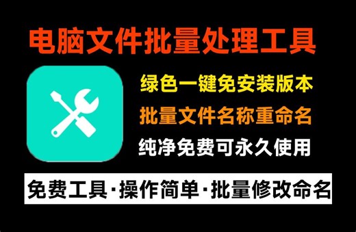 1000个文件重命名，1秒完成！批量文件重命名软件，支持图片视频文件批量命名，纯免费绿色免安装版_哔哩哔哩_bilibili