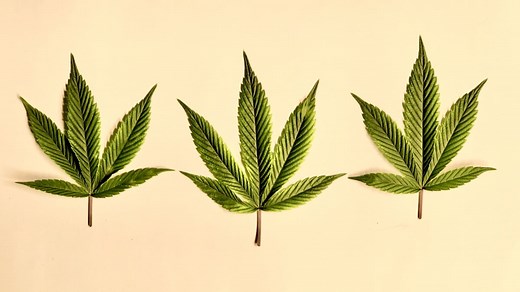 What’s the deal with nano weed edibles?