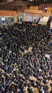 NAPOLI BALLA 🙌💙 Milano, stiamo arrivando! | CalcioNapoli24.it