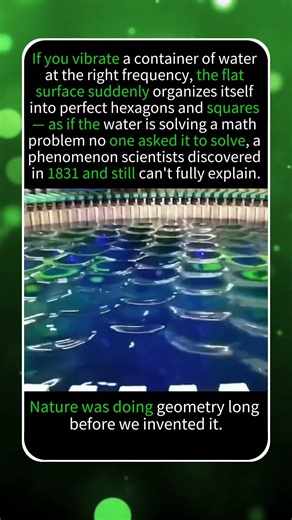 WATER THAT THINKS IN GEOMETRY