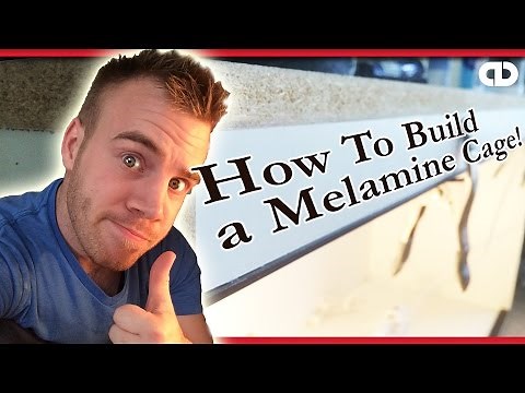 How To Build A Melamine Cage For Reptiles