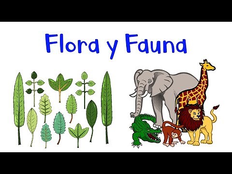 🌺 ¿Qué es FLORA y FAUNA? 🦁 EJEMPLOS 🙊 [Fácil y Rápido]