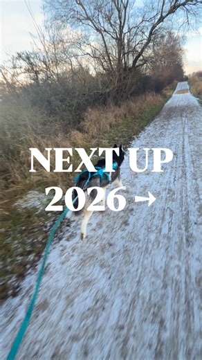 2025 blev året hvor jeg gik fra ‘ham kajakroeren’ til at finde en helt ny mening med alt det jeg har lært! Tog en High Performance Coach uddannelse ved @klausveile 🔥 Byggede 180kvm terrasse 🔨 Blev far igen 🥰 Holdte 11 gode foredrag 🎤 Startede online coaching - og hjalp en masse mennesker 🥳 I 2026 fortsætter arbejdet 🤝 | René Holten Poulsen