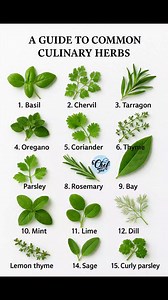 26K views · 167 reactions | A GUIDE TO COMMON CULINARY HERBS | Chef Jahed | Facebook