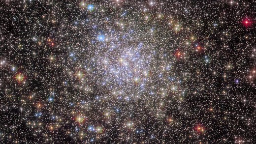 Blue stragglers are the weird grandparents of the galaxy