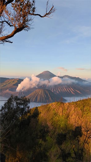 Camping Seru di Gunung Bromo: Hidup di Alam Pegunungan Indah