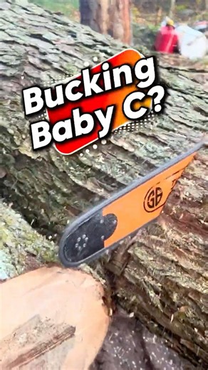 Logger Billy Tries Buckin’ Billy Ray’s “Baby C” Chain Husqvarna 288XP