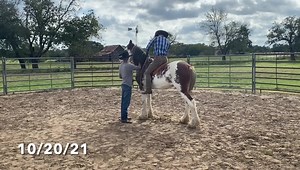 116K views · 6K reactions | Sioux has been turned out for the last 9...