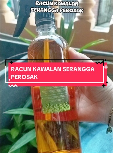 Organic Pest Control for All Plants